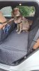 Firm Back Seat Extender for Dogs, Hard Bottom Dog Car Cover Bed Camping Mat - 100