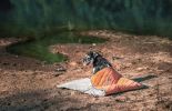 Dog Helios 'Boulder-Trek' 3-in-1 Expandable Surface Outdoor Travel Camping Dog Mat - Orange