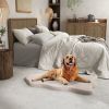 Orthopedic Dog Bed with Memory Foam Support for Large Dogs - Beige