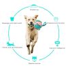 Dog Soccer Ball Interactive Pet Toys Foldable Ball Molar Toy Outdoor Training Ball for Puppy Dog Chew Dog Accessories - Yellow
