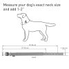 Black Nylon Reflective Dog Adjustable Dog with Metal Buckle Heavy Duty M Size 15-18 inch Neck - Collar